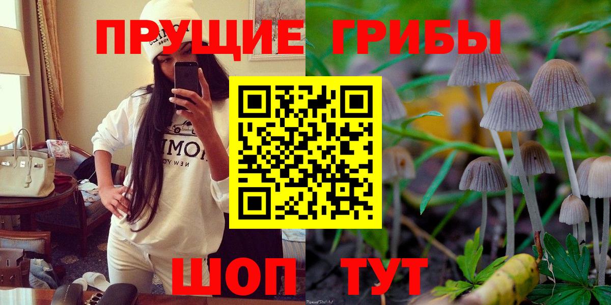 Галлюциногенные грибы GOLDEN TEACHER  Вход с VPN  Галлюциногенные грибы GOLDEN TEACHER  Нурлат 