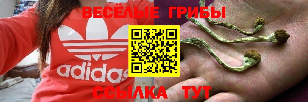 Галлюциногенные грибы мицелий Нурлат